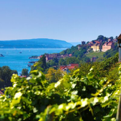 Weinberge Bodensee Muttertag 2026